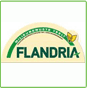 Flandria